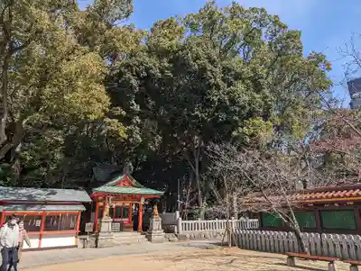 生田神社(兵庫県)