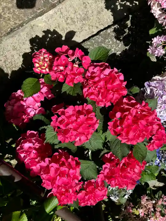 長谷寺(奈良県)