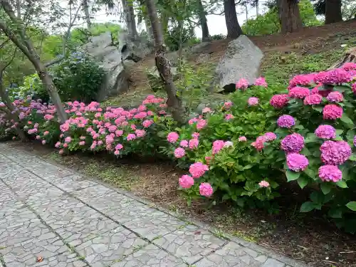 有珠善光寺(北海道)
