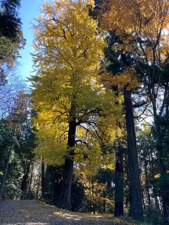 国上寺(新潟県)