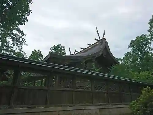 出石神社の本殿・本堂