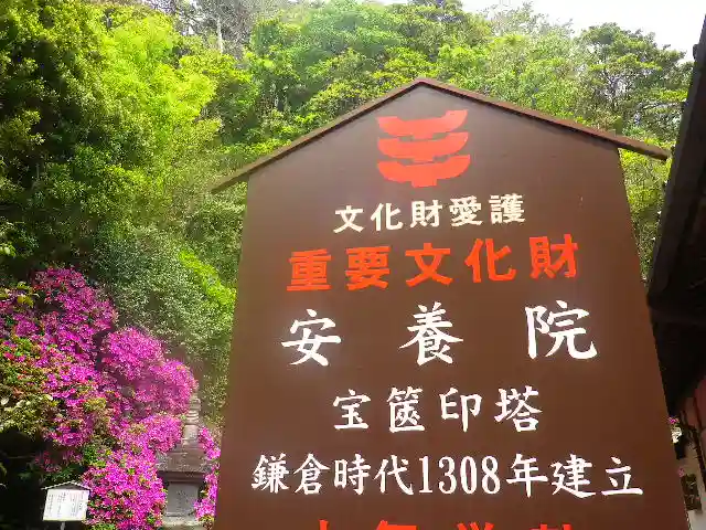 安養院 (田代寺)の歴史