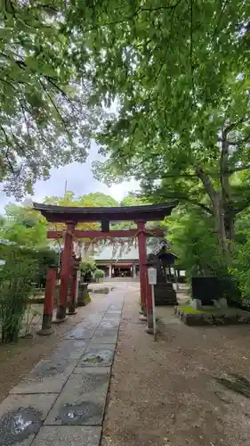 本太氷川神社の鳥居