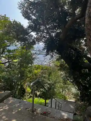 小鷹神社の{uncategorized: "未分類", other: "その他", undefined: "問題あり", building: "その他建物", grave: "お墓", sacred_gate: "鳥居", guardian: "狛犬", statue: "像", buddha: "仏像", history: "歴史", nature: "自然", garden: "庭園", animal: "動物", pagoda: "塔", temizu: "手水舎", mountain_gate: "山門・神門", sanctuary: "本殿・本堂", subordinate: "末社・摂社", art: "芸術", scenery: "景色", jizo: "地蔵", ema: "絵馬", goshuin: "御朱印", omikuji: "おみくじ", items: "授与品その他", amulet: "お守り", goshuincho: "御朱印帳", eats: "食事", festival: "お祭り", votive_dance: "神楽", shichigosan: "七五三参", wedding: "結婚式", experience: "体験その他", initially: "初詣", around: "周辺", anti_infection: "感染症対策"}