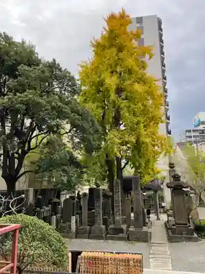 回向院(東京都)