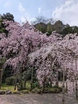 當麻寺奥院(奈良県)