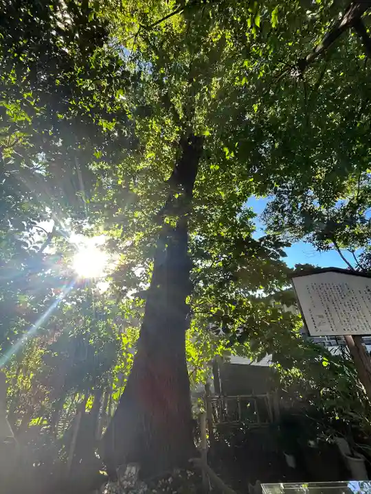 戸越八幡神社(東京都)