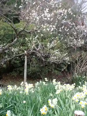 本牧神社(神奈川県)