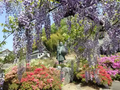 長泉寺の景色