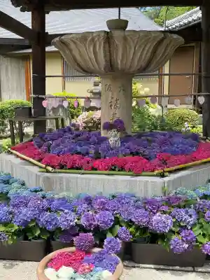 三室戸寺の{uncategorized: "未分類", other: "その他", undefined: "問題あり", building: "その他建物", grave: "お墓", sacred_gate: "鳥居", guardian: "狛犬", statue: "像", buddha: "仏像", history: "歴史", nature: "自然", garden: "庭園", animal: "動物", pagoda: "塔", temizu: "手水舎", mountain_gate: "山門・神門", sanctuary: "本殿・本堂", subordinate: "末社・摂社", art: "芸術", scenery: "景色", jizo: "地蔵", ema: "絵馬", goshuin: "御朱印", omikuji: "おみくじ", items: "授与品その他", amulet: "お守り", goshuincho: "御朱印帳", eats: "食事", festival: "お祭り", votive_dance: "神楽", shichigosan: "七五三参", wedding: "結婚式", experience: "体験その他", initially: "初詣", around: "周辺", anti_infection: "感染症対策"}