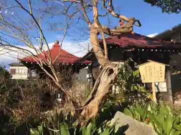 長福寺(神奈川県)