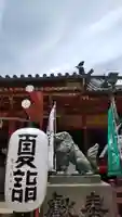 浅草神社の狛犬