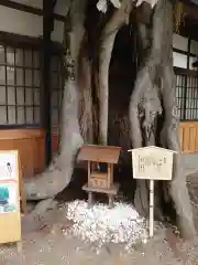 三輪恵比寿神社(奈良県)