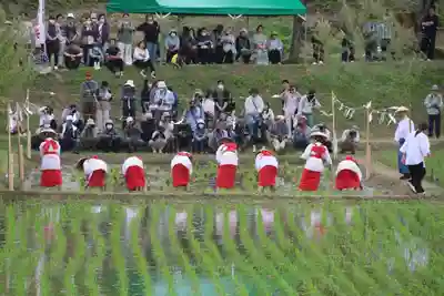 高屋敷稲荷神社のお祭り