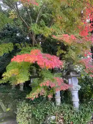 葛木坐火雷神社(奈良県)
