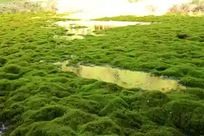 大山祇神社(高知県)