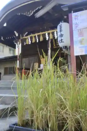 磐井神社の本殿・本堂