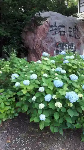 新琴似神社の庭園