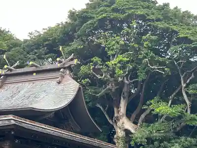 酒列磯前神社(茨城県)