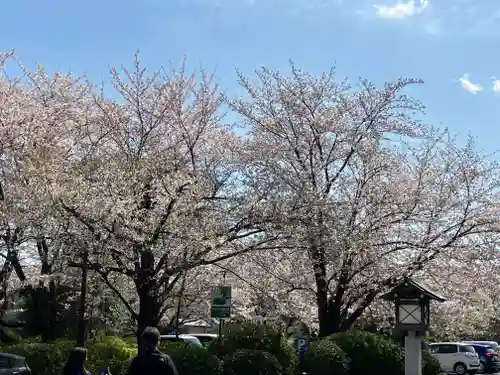 櫻木神社(千葉県)