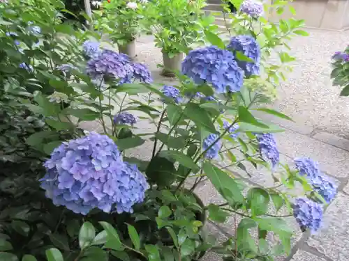 坐摩神社(大阪府)