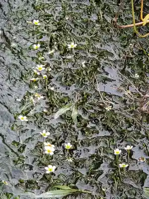 西勝寺(福島県)