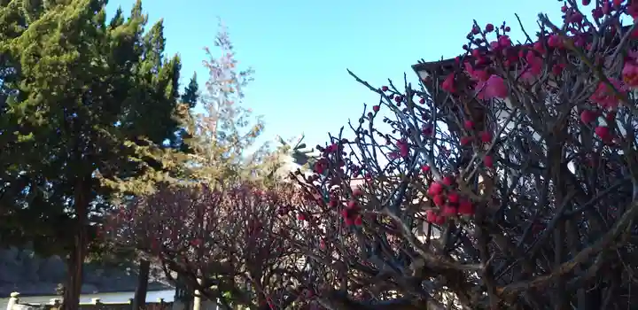 武蔵第六天神社(埼玉県)