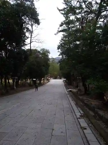 出雲大社(島根県)