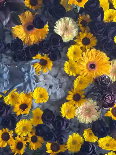 札幌諏訪神社の手水舎