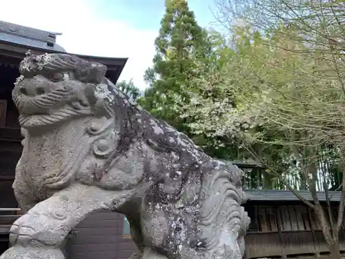 塩竈神社の狛犬