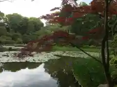 平安神宮の庭園