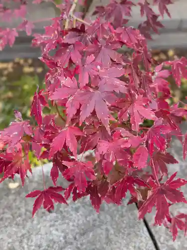 乃木神社(東京都)