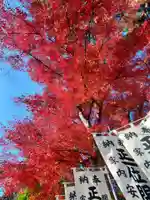 開成山大神宮(福島県)