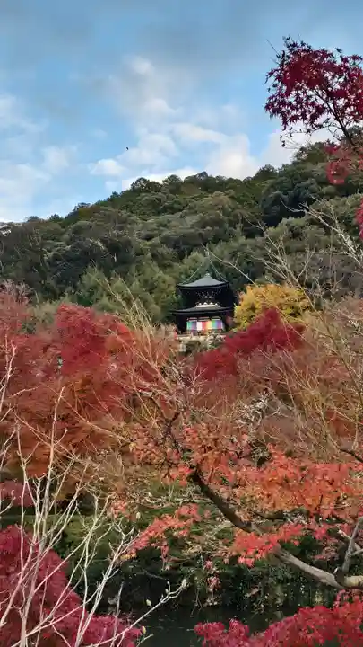 禅林寺(永観堂)(京都府)