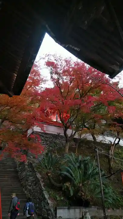 金剛宝寺(紀三井寺)(和歌山県)