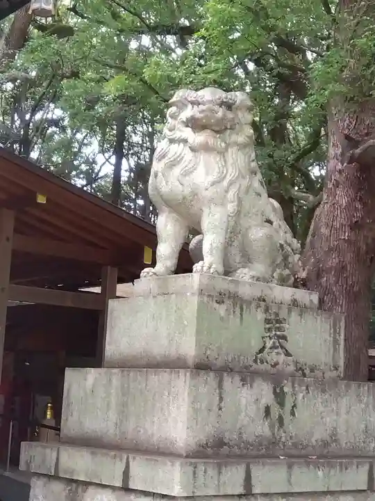 大宮八幡宮の狛犬