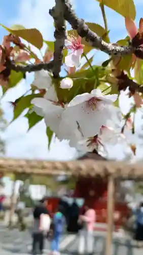 旗上弁財天社の{uncategorized: "未分類", other: "その他", undefined: "問題あり", building: "その他建物", grave: "お墓", sacred_gate: "鳥居", guardian: "狛犬", statue: "像", buddha: "仏像", history: "歴史", nature: "自然", garden: "庭園", animal: "動物", pagoda: "塔", temizu: "手水舎", mountain_gate: "山門・神門", sanctuary: "本殿・本堂", subordinate: "末社・摂社", art: "芸術", scenery: "景色", jizo: "地蔵", ema: "絵馬", goshuin: "御朱印", omikuji: "おみくじ", items: "授与品その他", amulet: "お守り", goshuincho: "御朱印帳", eats: "食事", festival: "お祭り", votive_dance: "神楽", shichigosan: "七五三参", wedding: "結婚式", experience: "体験その他", initially: "初詣", around: "周辺", anti_infection: "感染症対策"}