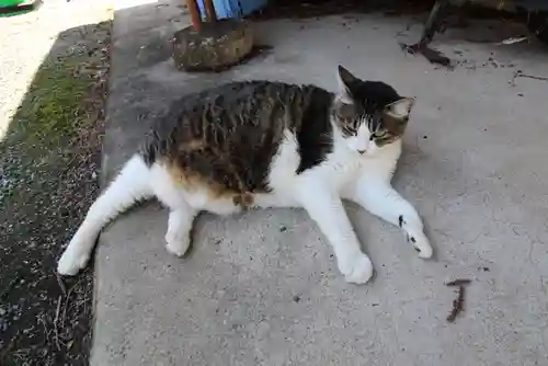 山梨縣護國神社(山梨県)