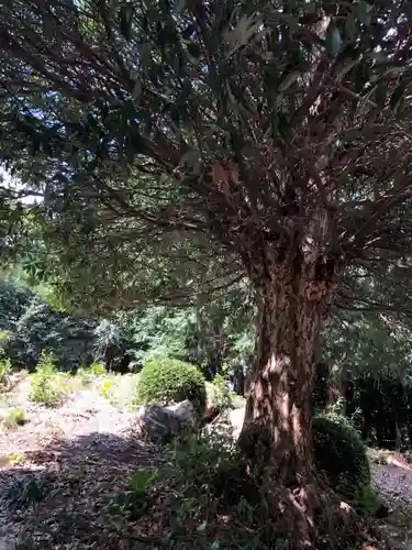 手力雄神社の建物その他