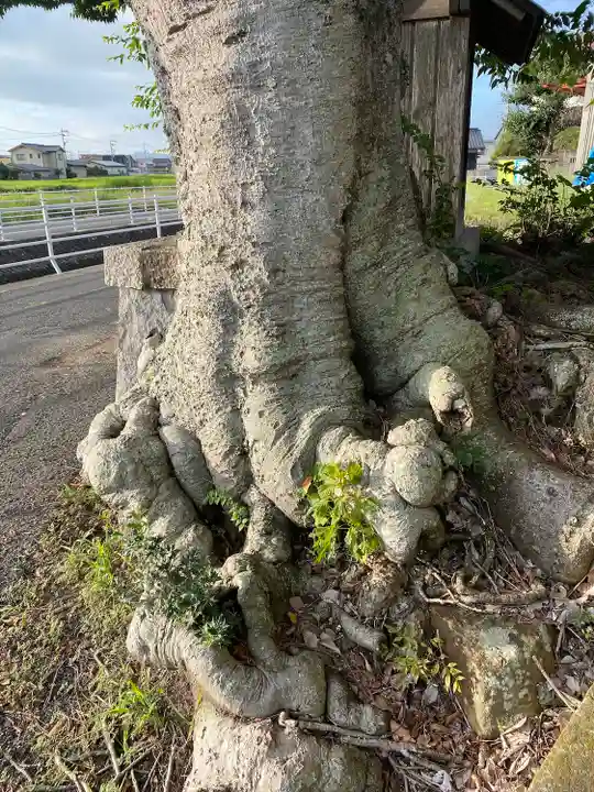 賽の大神(岡山県)