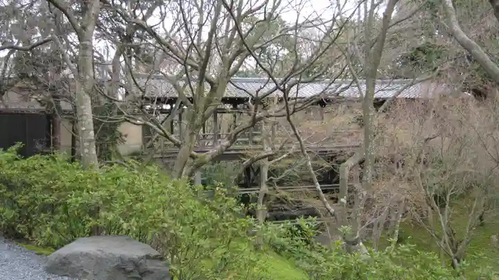 東福禅寺(東福寺)の自然