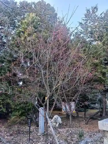 加納天満宮(岐阜県)