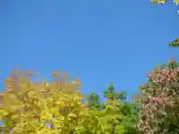 留辺蘂神社の自然