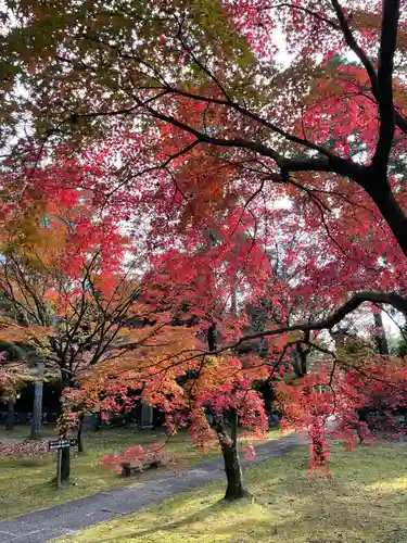 真正極楽寺（真如堂）の庭園