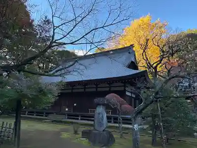 早雲寺の本殿・本堂