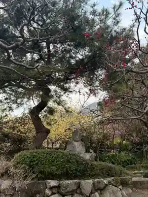 石光寺の{uncategorized: "未分類", other: "その他", undefined: "問題あり", building: "その他建物", grave: "お墓", sacred_gate: "鳥居", guardian: "狛犬", statue: "像", buddha: "仏像", history: "歴史", nature: "自然", garden: "庭園", animal: "動物", pagoda: "塔", temizu: "手水舎", mountain_gate: "山門・神門", sanctuary: "本殿・本堂", subordinate: "末社・摂社", art: "芸術", scenery: "景色", jizo: "地蔵", ema: "絵馬", goshuin: "御朱印", omikuji: "おみくじ", items: "授与品その他", amulet: "お守り", goshuincho: "御朱印帳", eats: "食事", festival: "お祭り", votive_dance: "神楽", shichigosan: "七五三参", wedding: "結婚式", experience: "体験その他", initially: "初詣", around: "周辺", anti_infection: "感染症対策"}