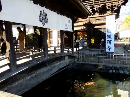 鑁阿寺の山門