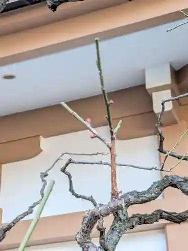 穏田神社(東京都)