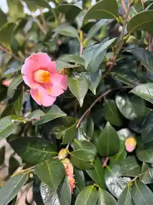 下太田廃寺塔跡(兵庫県)