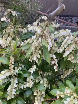 浄昇寺(愛知県)